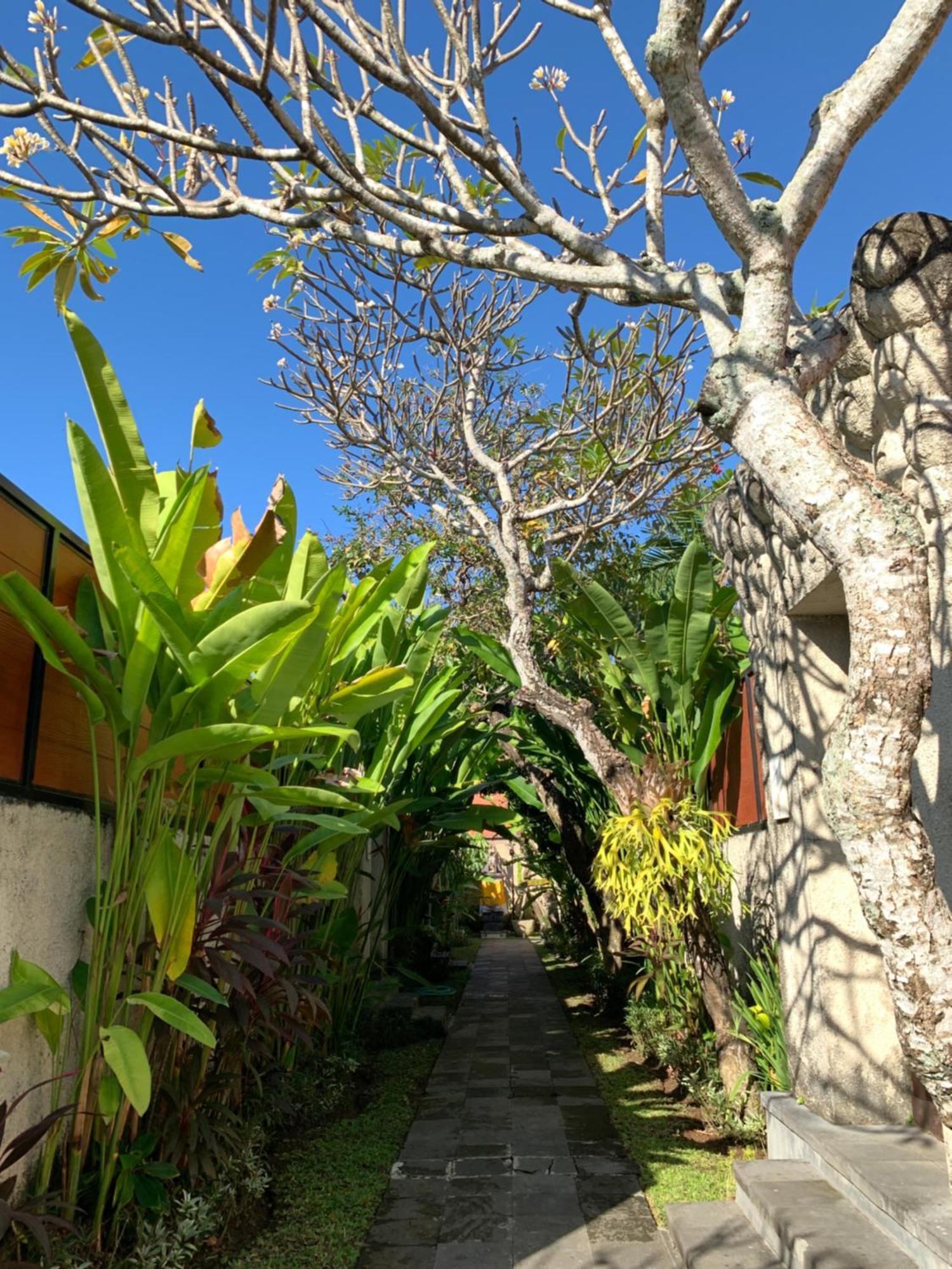 The Awan Villas - Chse Certified Seminyak Esterno foto